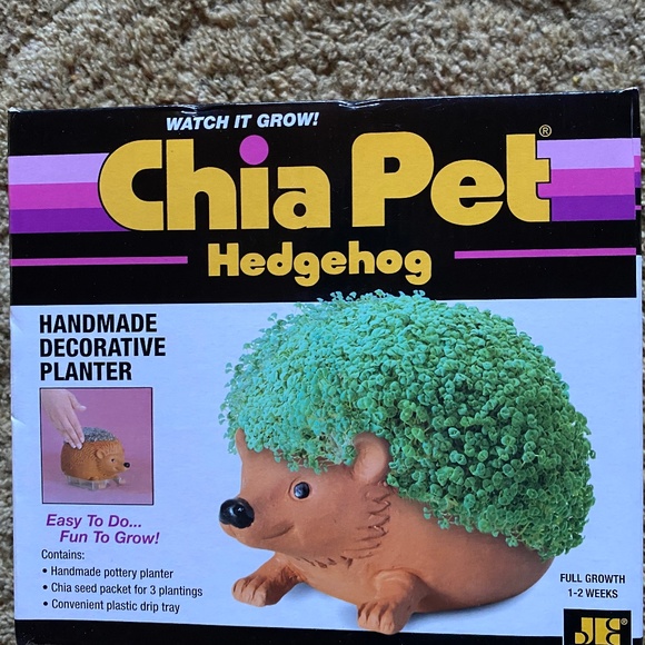 chia pet hedgehog new in box - Picture 1 of 2